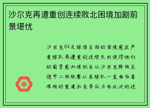 沙尔克再遭重创连续败北困境加剧前景堪忧 沙尔克再遭重创连续败北困境加剧前景堪忧